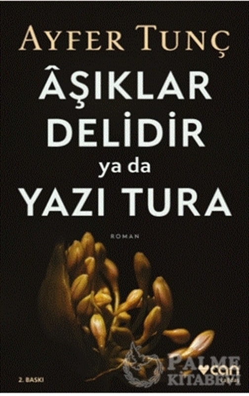 resm Aşıklar Delidir Ya Da Yazı Tura