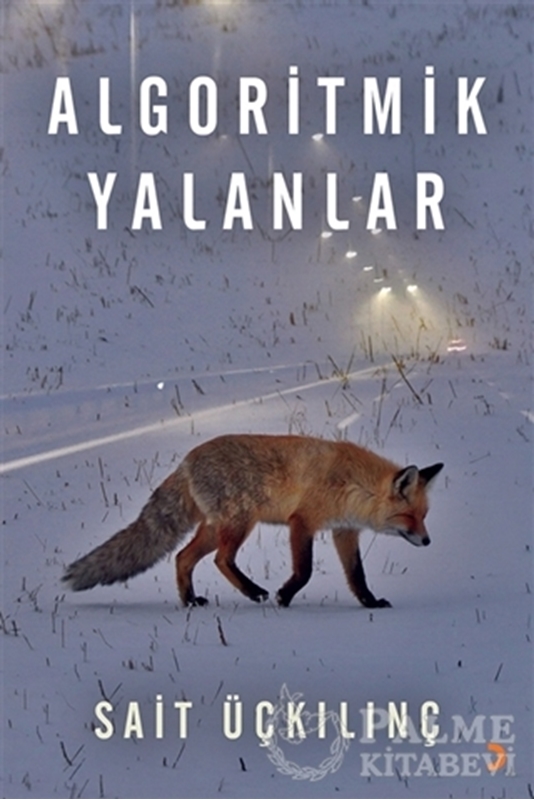 resm Algoritmik Yalanlar