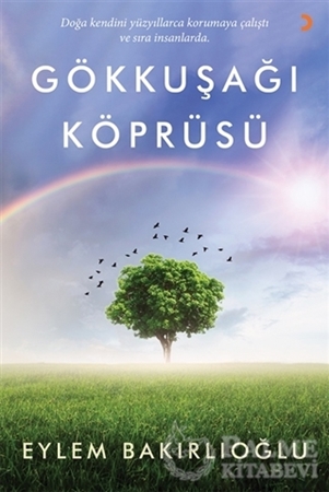 Resim Gökkuşağı Köprüsü