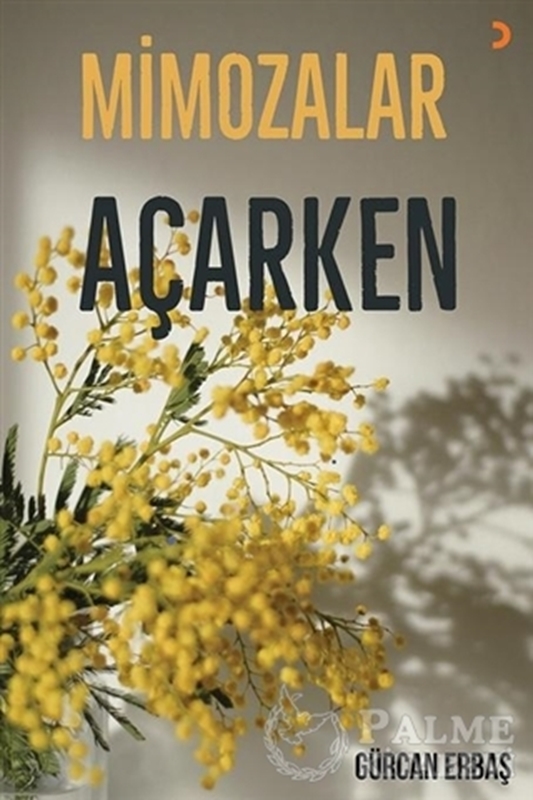 resm Mimozalar Açarken