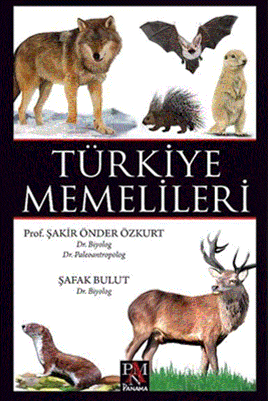 resm Türkiye Memelileri