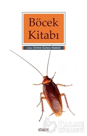 Resim Böcek Kitabı