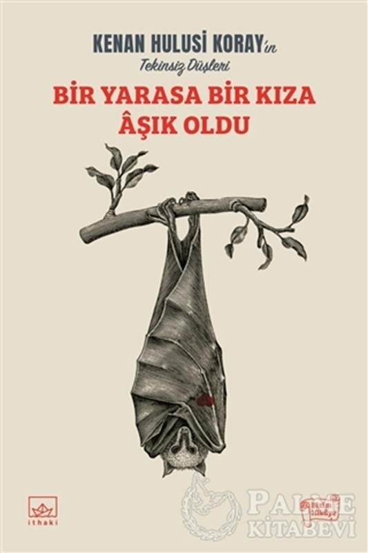 resm Bir Yarasa Bir Kıza Aşık Oldu