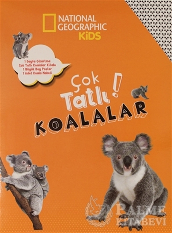 resm Çok Tatlı Koalalar - National Geographic Kids