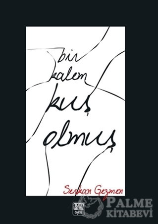 Resim Bir Kalem Kuş Olmuş