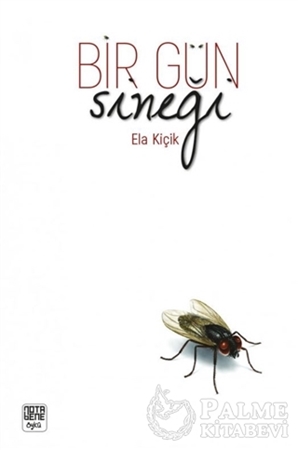 Resim Bir Gün Sineği