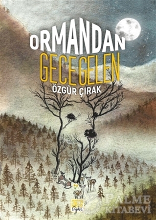 Resim Ormandan Gece Gelen
