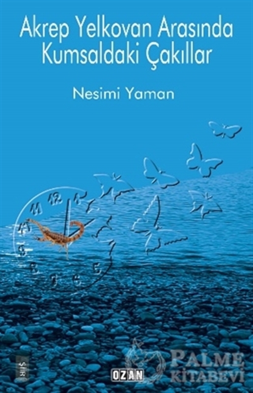 resm Akrep Yelkovan Arasında Kumsaldaki Çakıllar