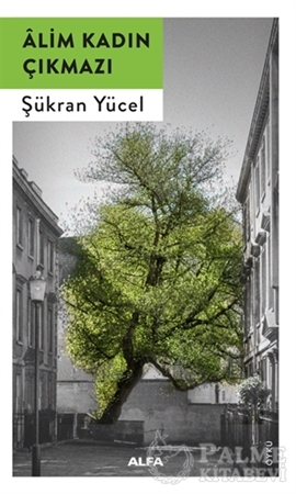 Resim Alim Kadın Çıkmazı