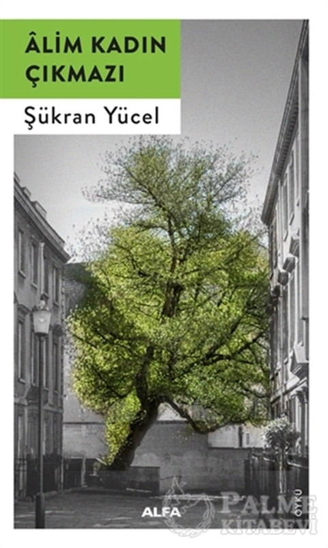 resm Alim Kadın Çıkmazı