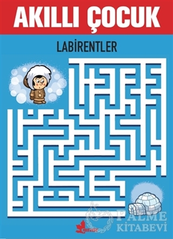 resm Labirentler - Akıllı Çocuk