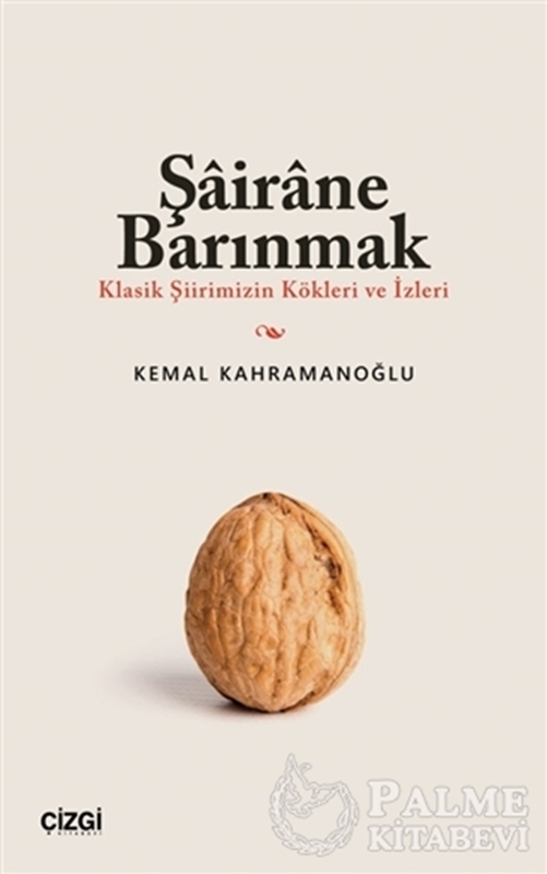 resm Şairane Barınmak (Klasik Şiirimizin Kökleri ve İzleri)