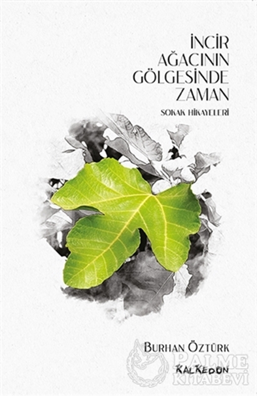 resm İncir Ağacının Gölgesinde Zaman