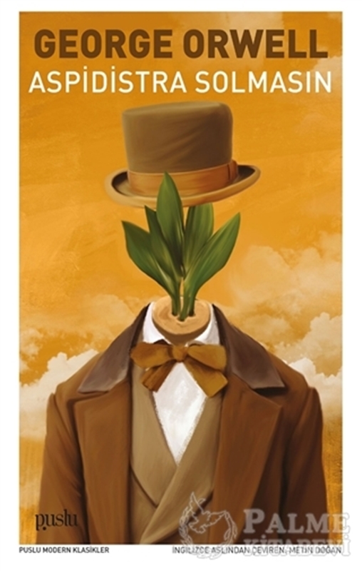 resm Aspidistra Solmasın