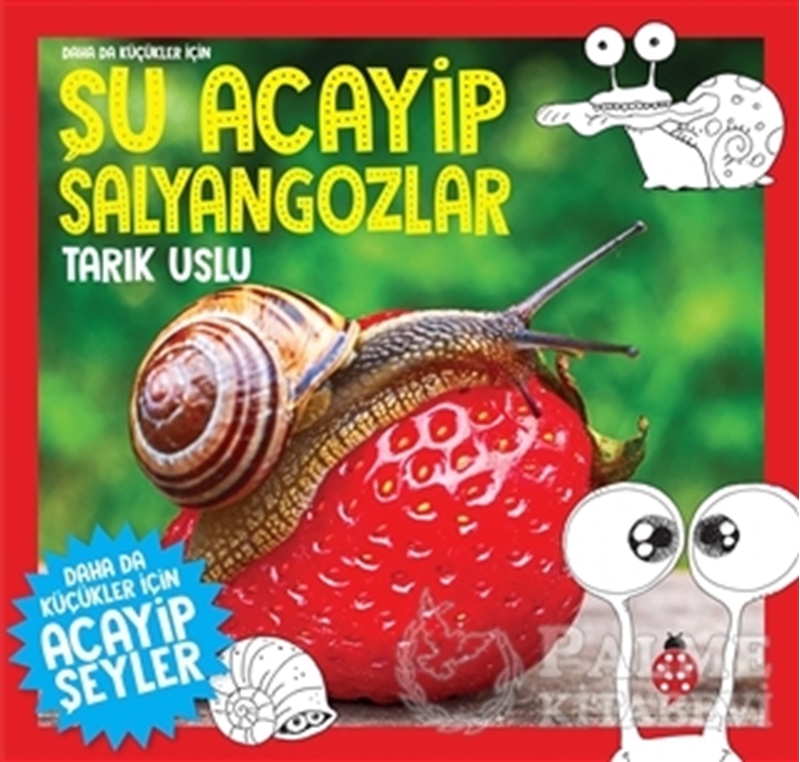 resm Daha da Küçükler İçin Şu Acayip Salyangozlar