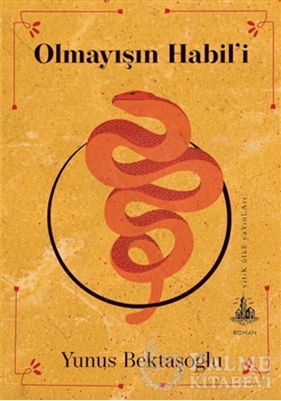 Resim Olmayışın Habil’i