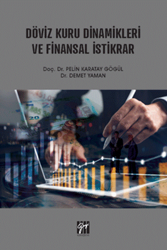 resm Döviz Kuru Dinamikleri ve Finansal İstikrar