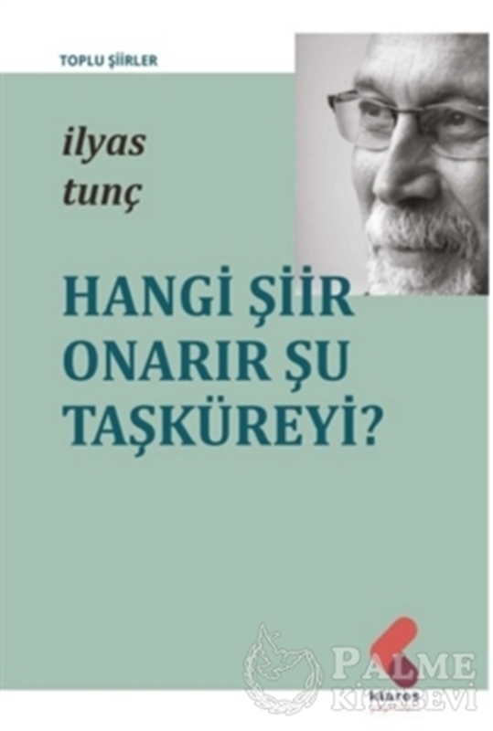 resm Hangi Şiir Onarır Şu Taşküreyi?