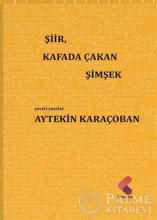Resim Şiir, Kafada Çakan Şimşek