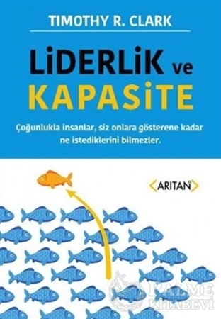 Resim Liderlik ve Kapasite