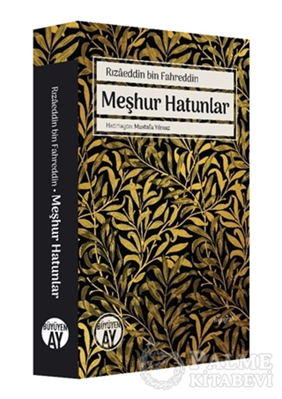 resm Rızaeddin Bin Fahreddin Meşhur Hatunlar