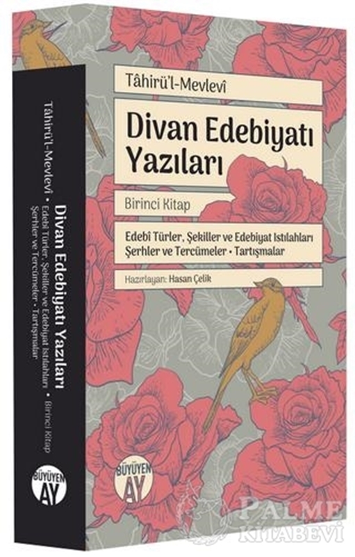 resm Divan Edebiyatı Yazıları - Birinci Kitap