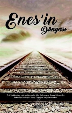 Resim Enes'in Dünyası