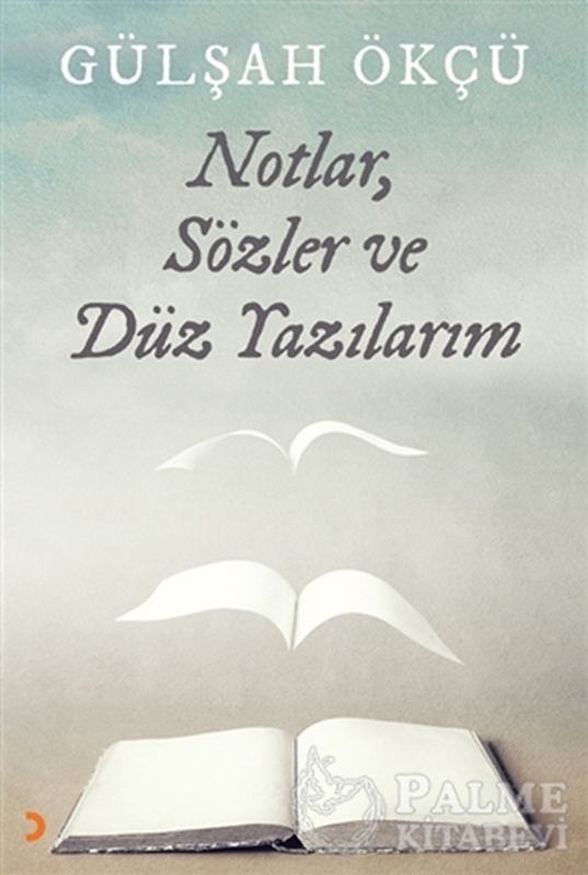 resm Notlar, Sözler ve Düz Yazılarım