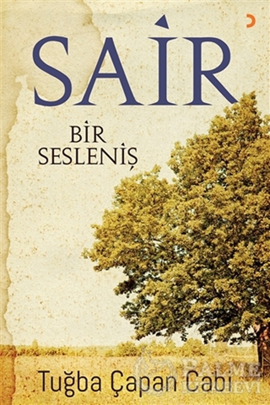 resm Sair Bir Sesleniş