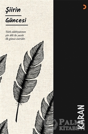 Resim Şiirin Güncesi