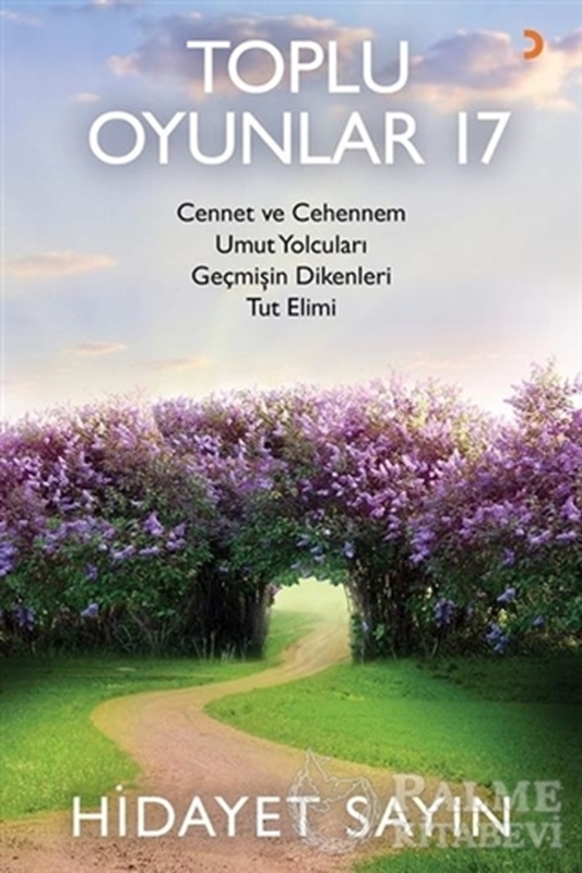 resm Toplu Oyunlar 17