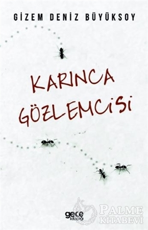 Resim Karınca Gözlemcisi