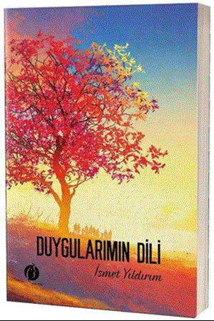 Resim Duygularımın Dili