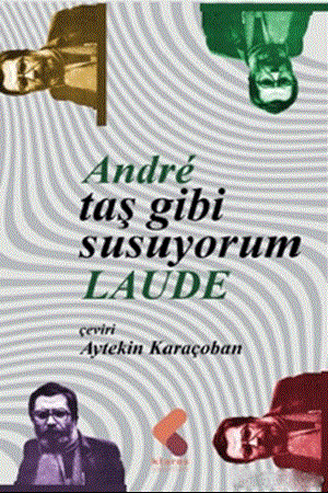 Resim Taş Gibi Susuyorum