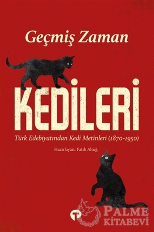 resm Geçmiş Zaman Kedileri