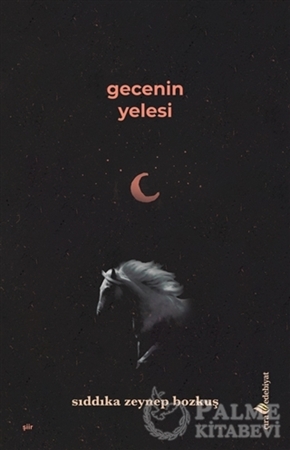 Resim Gecenin Yelesi