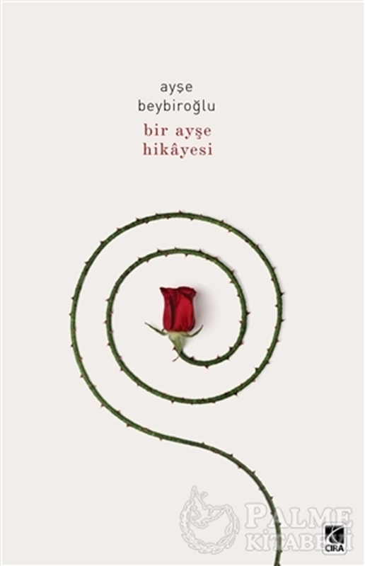 resm Bir Ayşe Hikayesi