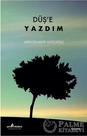 Resim Düş'e Yazdım