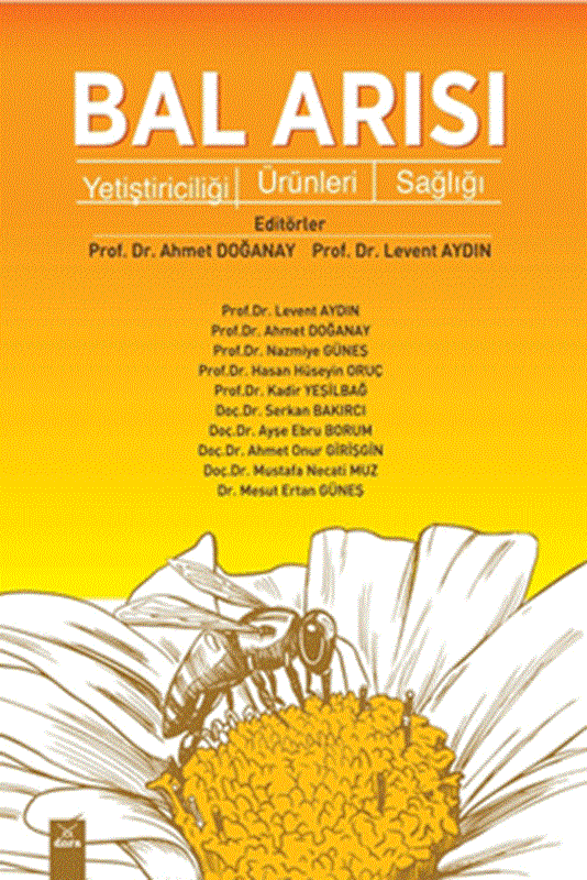 resm Başarı Perspektifinden Masallarla Kariyer ve Girişimcilik Yolculuğu