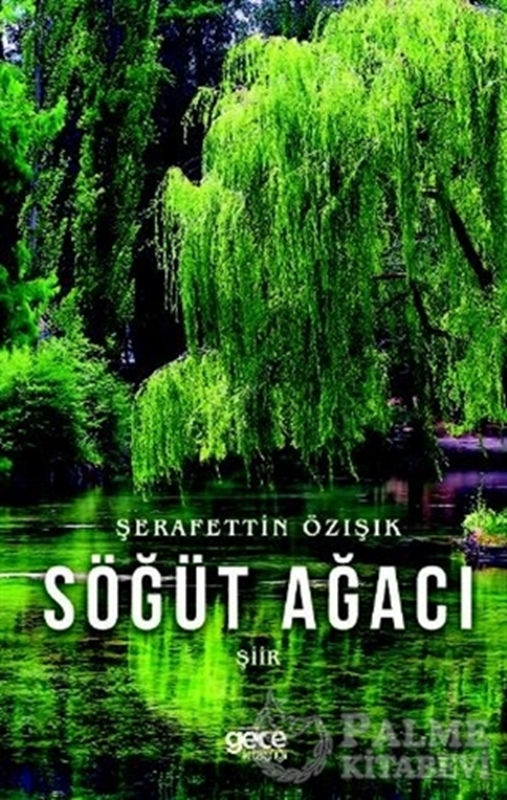 resm Söğüt Ağacı