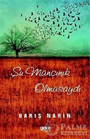 Resim Şu Mancınık Olmasaydı