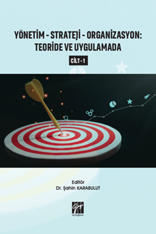 resm Yönetim - Strateji - Organizasyon: Teoride ve Uygulamada (Cilt 1)