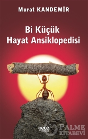 Resim Bi Küçük Hayat Ansiklopedisi