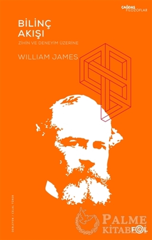 resm Bilinç Akışı – Zihin ve Deneyim Üzerine