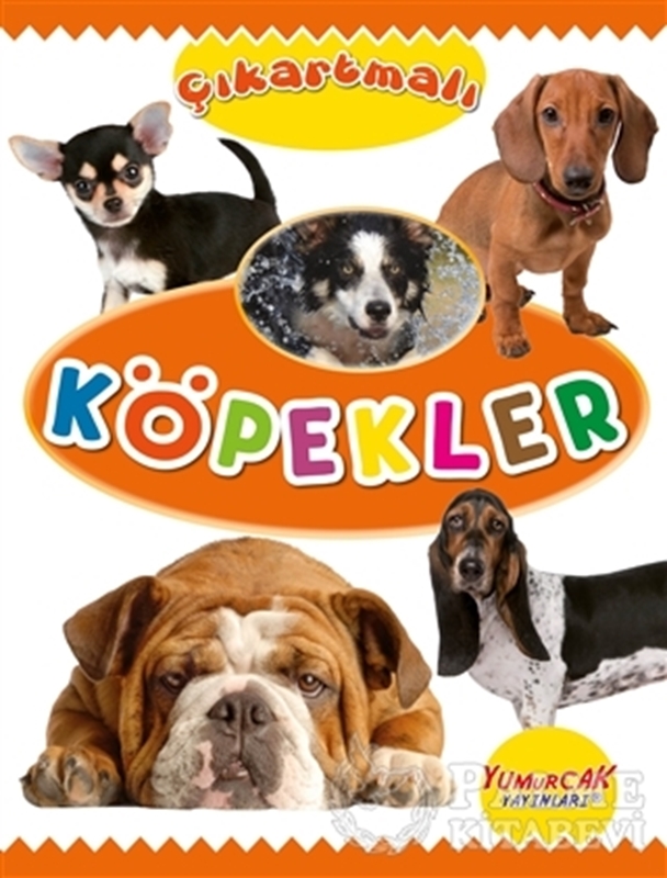 resm Çıkartmalı Köpekler