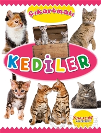 Resim Çıkartmalı Kediler