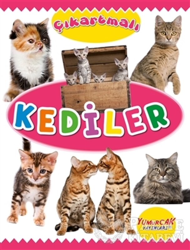 resm Çıkartmalı Kediler