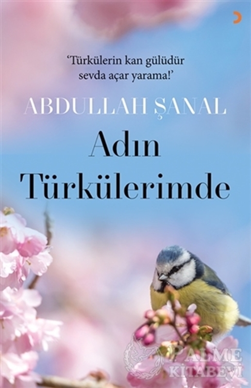 resm Adın Türkülerimde