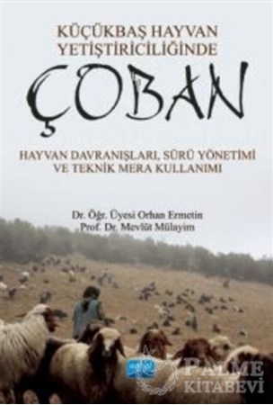 Resim Küçükbaş Hayvan Yetiştiriciliğinde Çoban