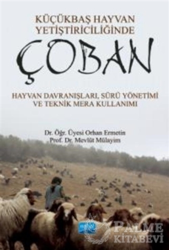 resm Küçükbaş Hayvan Yetiştiriciliğinde Çoban